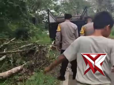Gerak Cepat Polsek Muara Beliti Polres Musi Rawas Evakuasi Pohon Tumbang di Jalinsum