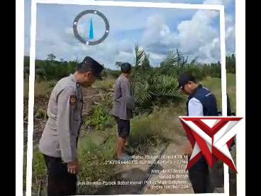 Cek Lahan Tanam Jagung Kwartal 2 ..??