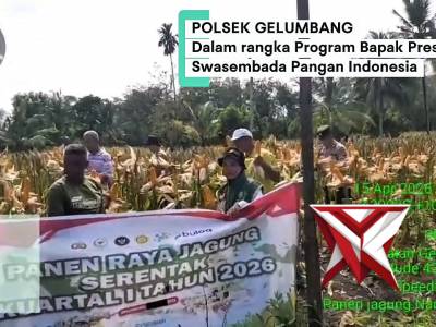 Dukung Ketahanan Pangan, Polsek Gelumbang Gelar Panen Raya Jagung

Sinergi nyata Polri dalam menduku