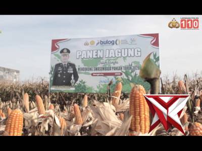 Polresta Bengkulu melaksanakan kegiatan Panen Raya Jagung Serentak Kuartal Pertama Tahun 2026 di lah - PoliceTube
