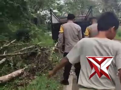 ?Gerak Cepat Polsek Muara Beliti Polres Musi Rawas Evakuasi Pohon Tumbang di Jalinsum ? - PoliceTube