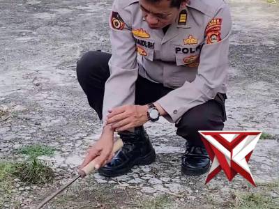 Polsek Mesuji Makmur