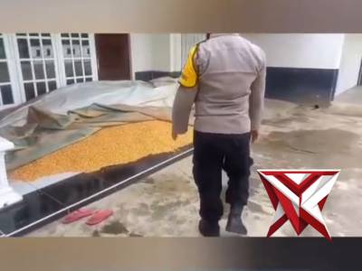 "Sinergi Polri dan Petani: Polsek STL Ulu Terawas Dampingi Penjualan Jagung ke BULOG"