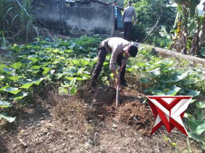 Polsek Kikim Selatan Polres Lahat Lestarikan Negeri Dengan Giat Pemberdayaan Ketahanan Pangan - PoliceTube