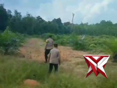 Pengecekan lahan jagung - PoliceTube
