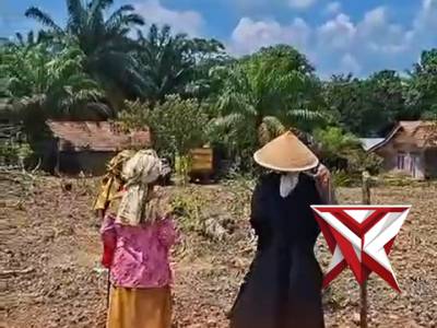 Penanaman jagung kuorta 2 tahun 2026 di Desa Berlian Jaya Kec. Tungkal Jaya...