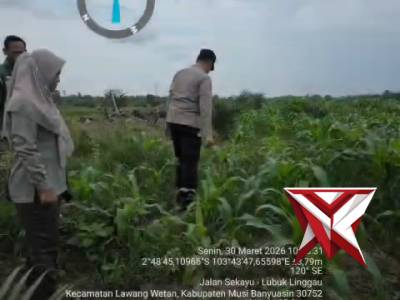Giat cek lahan jagung ? Polsek babat Toman bersama UPTD pertanian desa ulak paceh