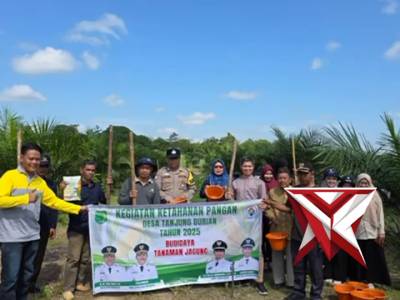 Dalam Mendukung Program Ketahanan Pangan Polsek Babat Toman Lakukan Penanaman Jagung