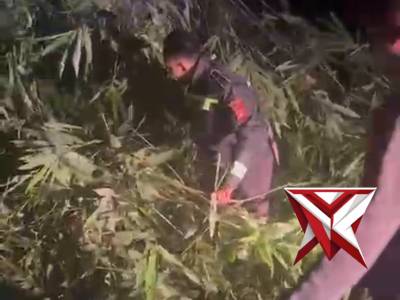 Respon cepat, personil polres Musi Rawas mengevakuasi batang roboh yang menghalangi jalan lintas.