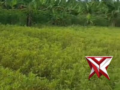 POLRI UNTUK MASYARAKAT