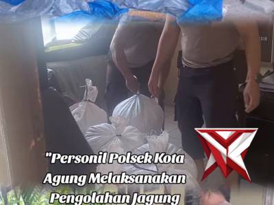 Polsek kota agung disitribusikan hasil panen jagung - PoliceTube