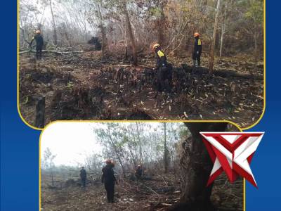 Dansatbrimob Polda Kalbar