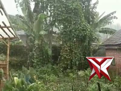 Monitor hujan sore - PoliceTube