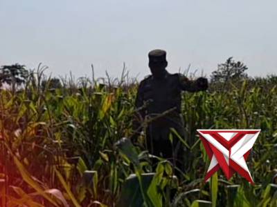 Patroli lahan pertanian