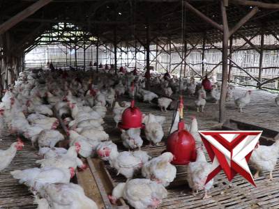 POLRES MUSI RAWAS - PoliceTube