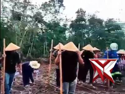 POLRI PEDULI, POLRI BERAKSI? GIAT PENANAMAN JAGUNG POLSEK LAIS BERKOMITMEN PERKUAT KETAHANAN PANGAN - PoliceTube