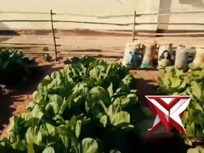 Polsek kisar dukung ketahanan pangan Nasional - PoliceTube