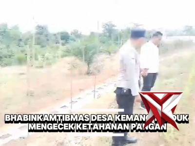 BHABINKAMTIBMAS DESA KEMANG TANDUK MENGECEK KETAHANAN PANGAN