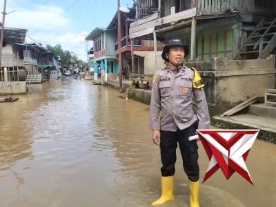 Laporan situasi  Desa bringin makmur