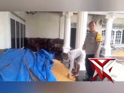 *?Dukung Ketahanan Pangan, Bhabinkamtibmas Polsek STL ulu Dampingi Petani Jagung ke Bulog* ?????