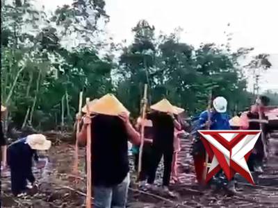 Giat penanaman jagung polsek lais ??????? - PoliceTube