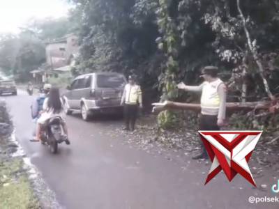Personil Polsek Pampangan turun gatur lalin akibat pohon tumbang