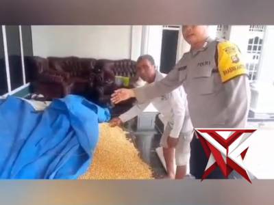 *?Dukung Ketahanan Pangan, Bhabinkamtibmas Polsek STL ulu Dampingi Petani Jagung ke Bulog* ?????