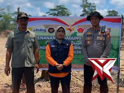 Giat penanaman jagung tw 2