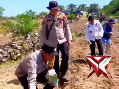 Polsek Tungkal Jaya Penanaman Jagung Desa Bandar Jaya Kecamatan Tungkal Jaya