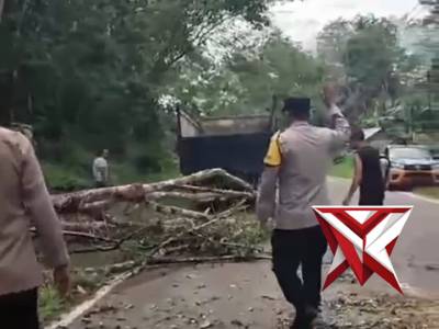 ?Gerak Cepat Polsek Muara Beliti Polres Musi Rawas Evakuasi Pohon Tumbang di Jalinsum 

?Demi keaman