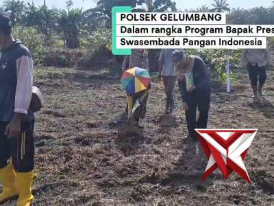 Kegiatan ketahanan pangan Polsek Gelumbang, penanaman jagung di Desa Kayu Ara Batu Kec.Muara Belid k