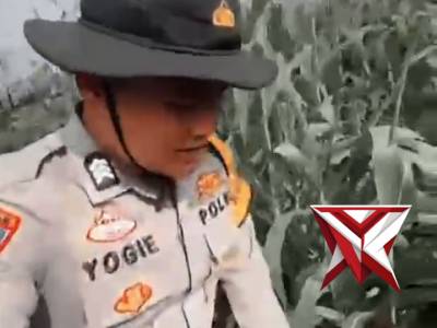 Bhabinkamtibmas Polsek Tungkal Jaya cek tanaman jagung