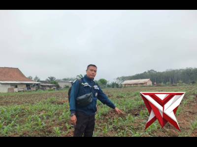 Polsek teluk gelam menanam jagung 0,5 hektar secara mandiri