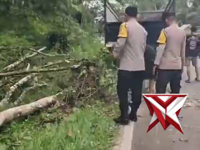 ?Gerak Cepat Polsek Muara Beliti Polres Musi Rawas Evakuasi Pohon Tumbang di Jalinsum