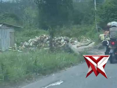 Sudahkah kita berbuat baik hari ini?