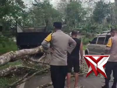 Polsek Muara Beliti Polres Mura membersihkan pohon tumbang yang menghalangi bahu jalan