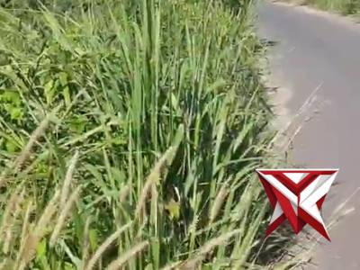 Giat program bersih lingkungan polres muba - PoliceTube