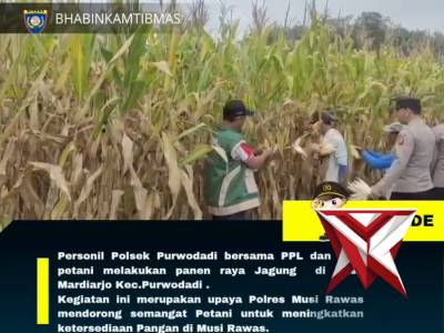 Kegiatan Polsek Purwodadi Polres Musi Rawas melakukan pengecekan lahan jagung