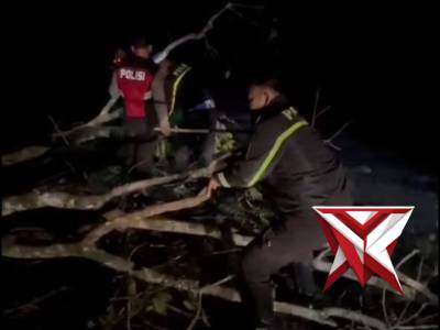 Pembersihan pohon tumbang yang mengganggu arus lalin