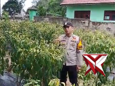 Ketahanan pangan Polsek Pampangan