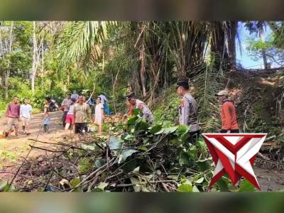 Kegiatan Program BELIDA