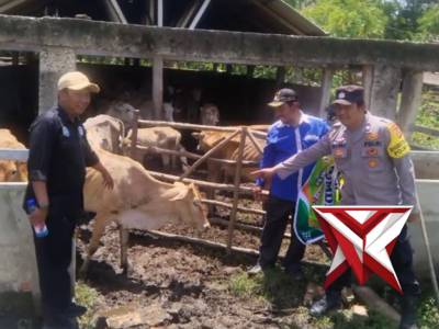 Kanit Binmas Polsek Jejawi cek ketahanan pangan ternak sapi milik warga Desa Tanjung Aur Kec.Jejawi