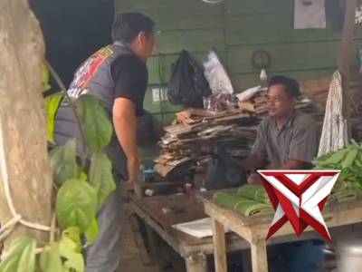 tim serigala muba LT7