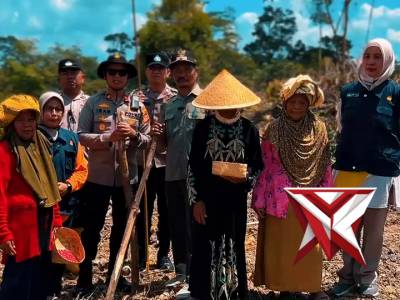 Penanaman jagung ketahanan pangan