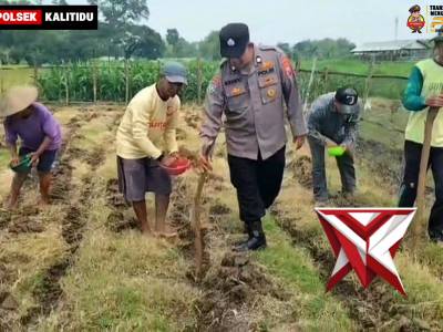 TANAM JAGUNG BERSAMA POKTAN BANGUN TANI DESA SUKOHARJO, DUKUNG KETAHANAN PANGAN
