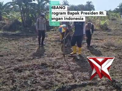 Kegiatan ketahanan pangan Polsek Gelumbang, penanaman jagung di Desa Kayu Ara Batu Kec.Muara Belid k - PoliceTube