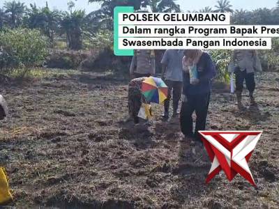 Kegiatan ketahanan pangan Polsek Gelumbang, penanaman jagung di Desa Kayu Ara Batu Kec.Muara Belid k