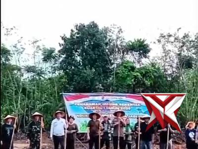 Penanaman Jagung Kwartal II 2026 Polsek Lais??