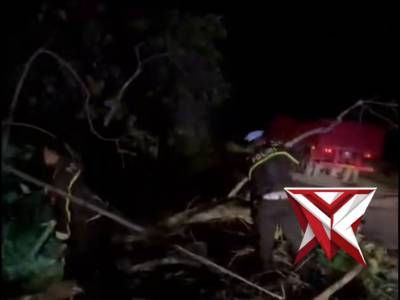 Kondisi alam yg TDK menentu banyak pohon tumbang polisi sigap dantanggap bersihkan.