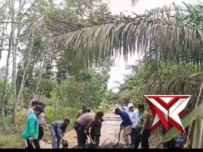 Belida Polsek Mesuji raya